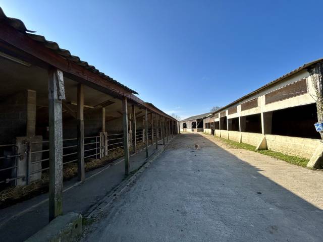 Riding school  Morbihan