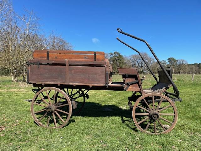 Carriage - Calèche   