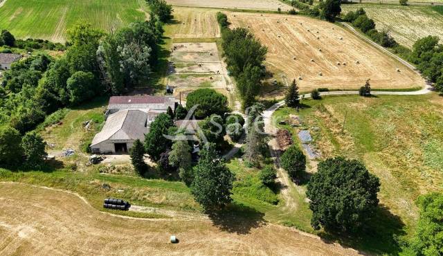 Sheep farm  Tarn-et-Taronne