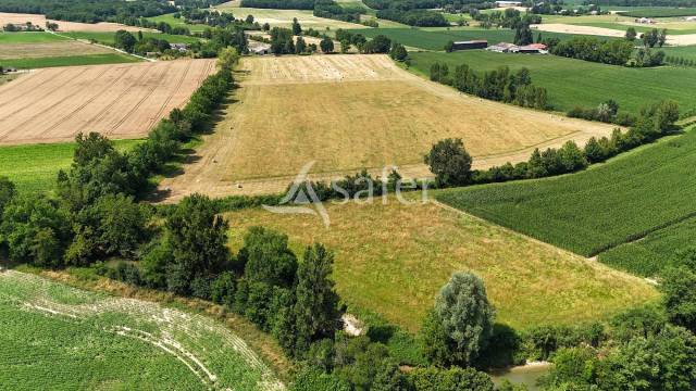 Sheep farm  Tarn-et-Taronne