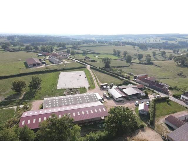 Stud farm  Saône-et-Loire