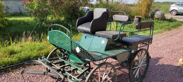 Carriage - Marathon for leisure Dominiak  