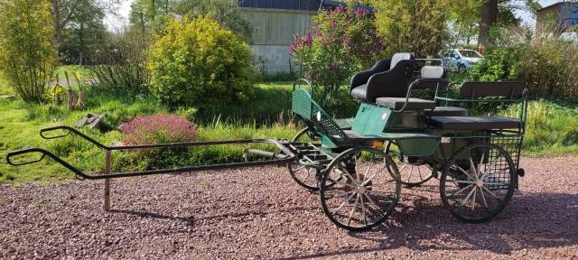 Carriage - Marathon for leisure Dominiak  