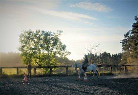 Equestrian property  Haute-Loire