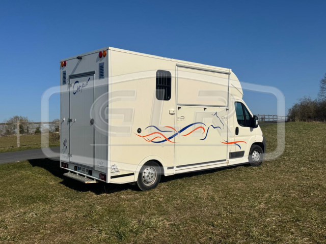 Horsebox HGV Citroen Jumper 2010 Used