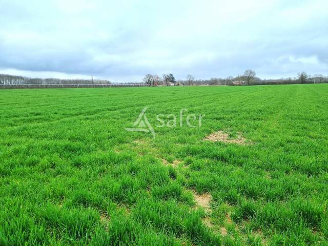 Other agricultural property  Tarn-et-Taronne