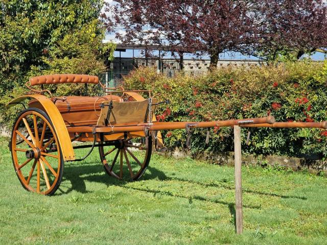 Carriage - Calèche   