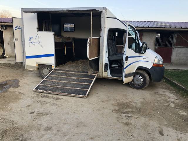 Horsebox HGV - Other brand - Master dci 120 2008 Used