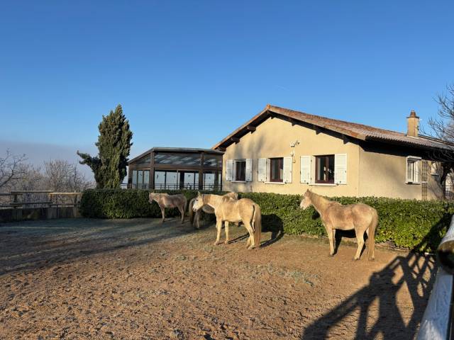 Luxurious equestrian property  Rhône