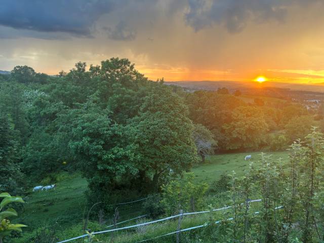 Luxurious equestrian property  Rhône