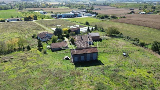 Vegetable farm  Lot-et-Garonne