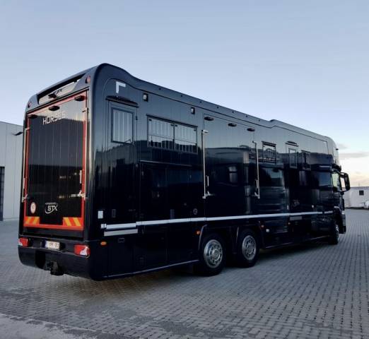 Horsebox NON-HGV Man TGS 2013 Used