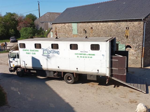 Horsebox NON-HGV Renault  1988 Used