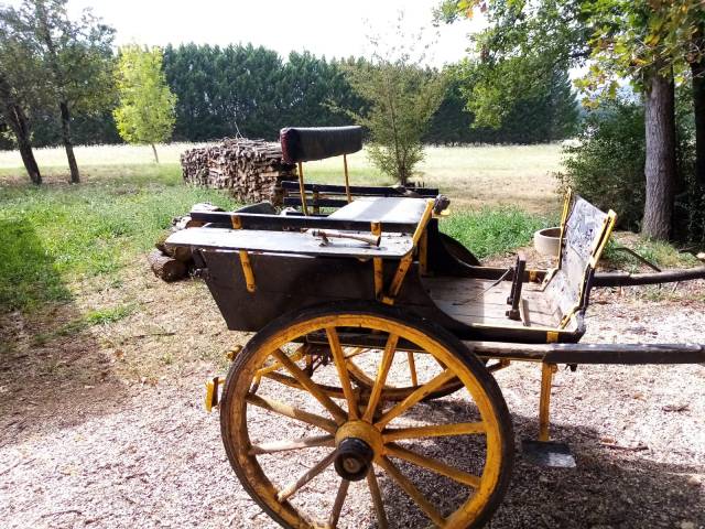 Carriage - Calèche   