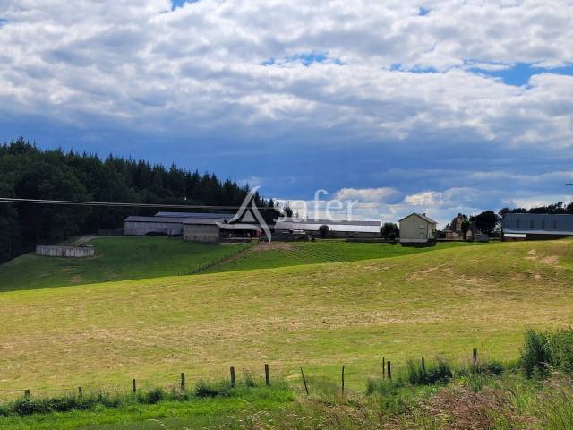 Dairy farm  Cantal