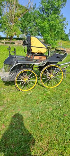 Carriage - Marathon for competition Pouvreau Marathon  