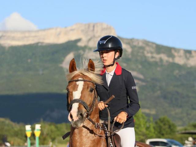Entire French Saddle Pony For sale 2019 Chesnut