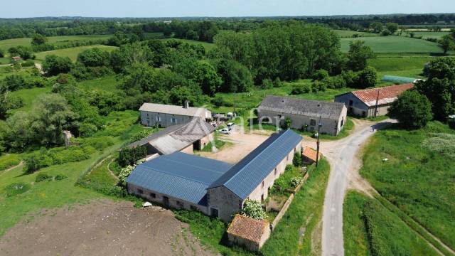 Sheep farm  Vienne