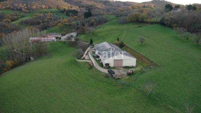 Sheep farm  Lot