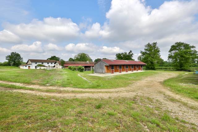 Luxurious equestrian property  Ain