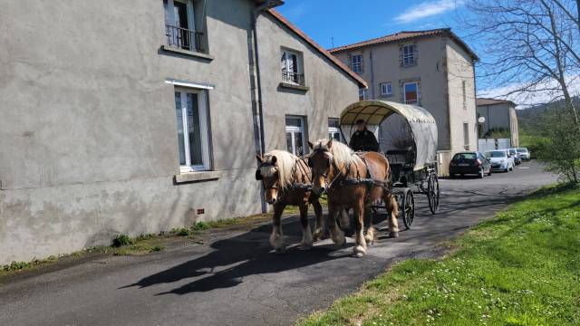 Carriage - Commercial carriage   