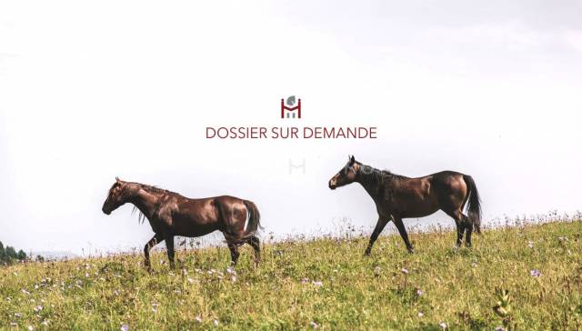 Equestrian property  Manche