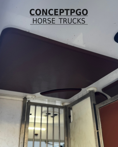 Horsebox HGV Renault ATM  2024 Used