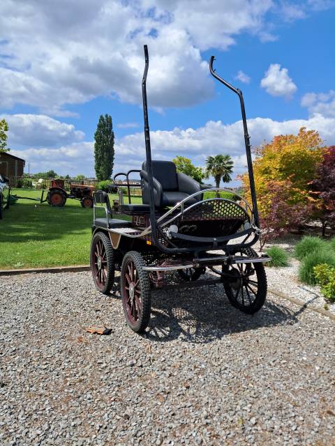 Carriage - Marathon for leisure   
