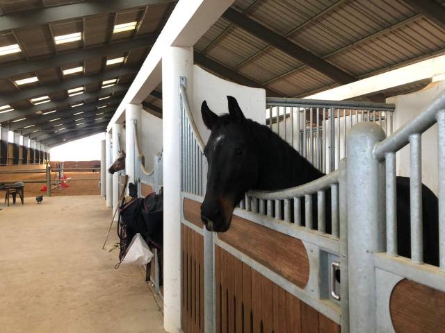 Livery yard  Charente-Maritime
