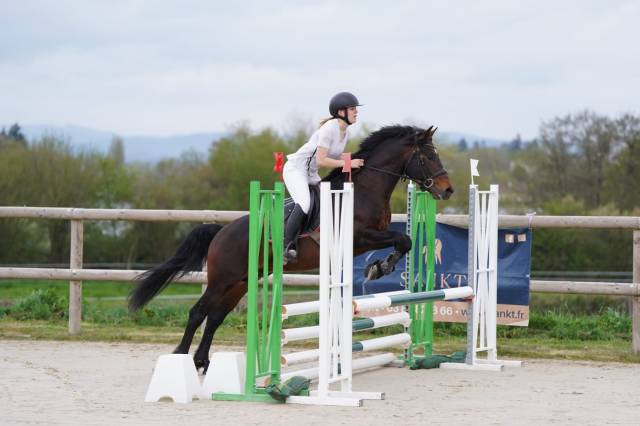 JUST BRIGHT DE RHONON - Connemara 2019 by CRACKER BOY MELODY
