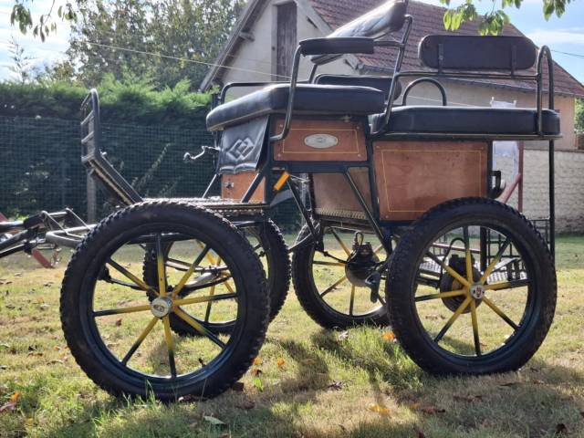 Carriage - Marathon for leisure  H. Glinkowski 