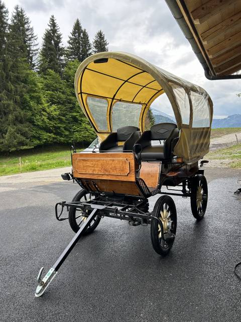 Carriage - Calèche - Other brand -  