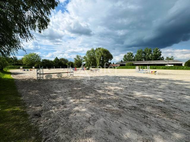 Equestrian property  Seine-et-Marne