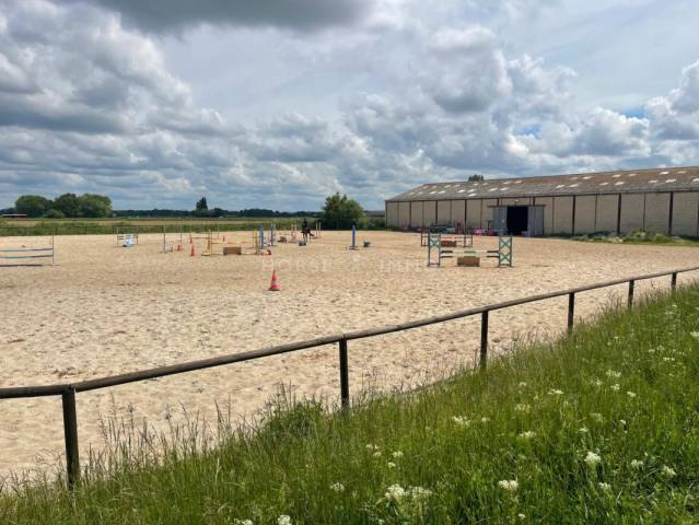 Stud farm  Essonne