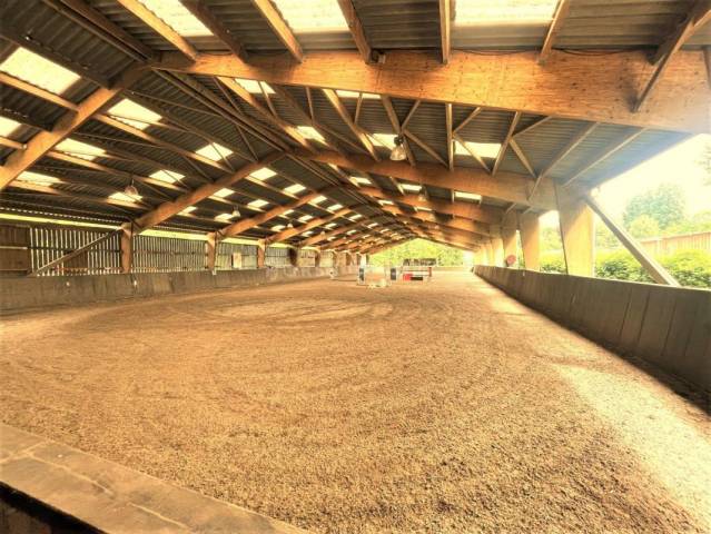 Stud farm  Seine-et-Marne