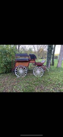 Carriage - Calèche - Other brand -  