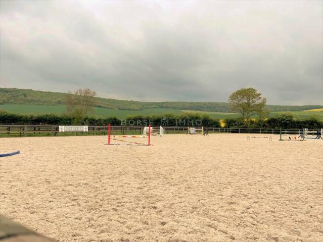 Stud farm  Yonne