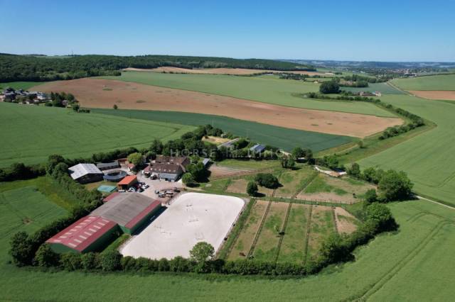 Stud farm  Yonne