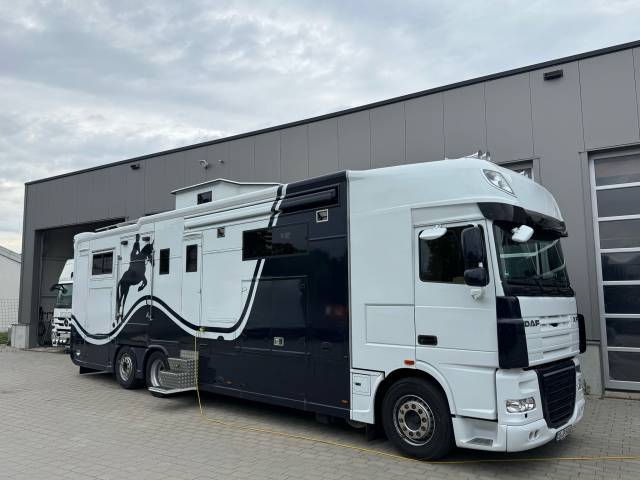 Horsebox NON-HGV Daf DAF 0 Used