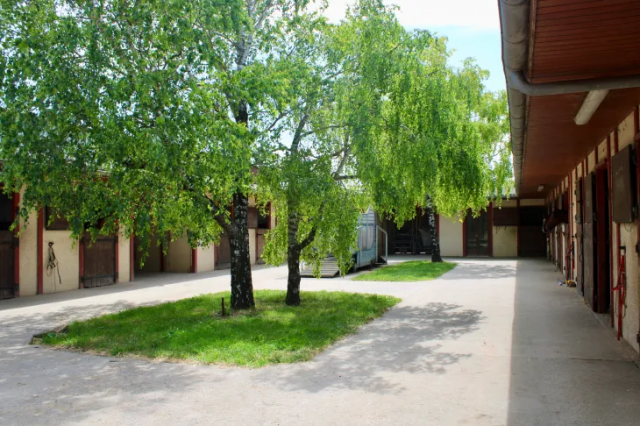 Equestrian property  Charente-Maritime