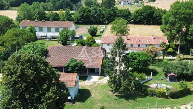 Vegetable farm  Lot-et-Garonne