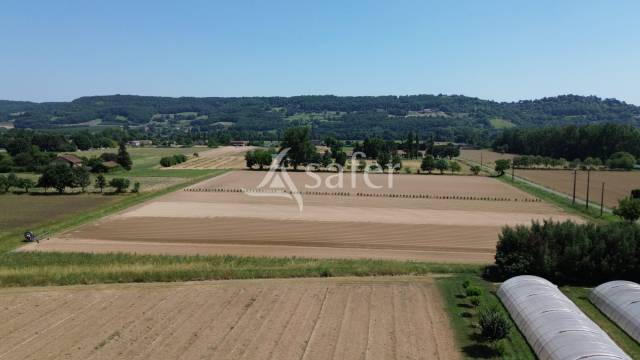 Vegetable farm  Lot-et-Garonne