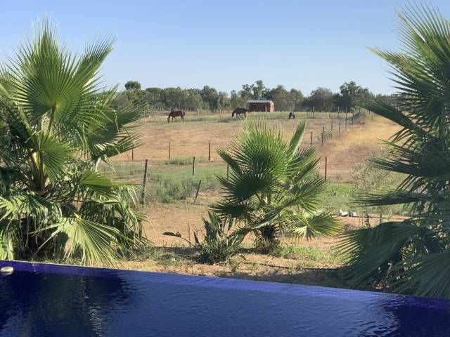 Equestrian property  