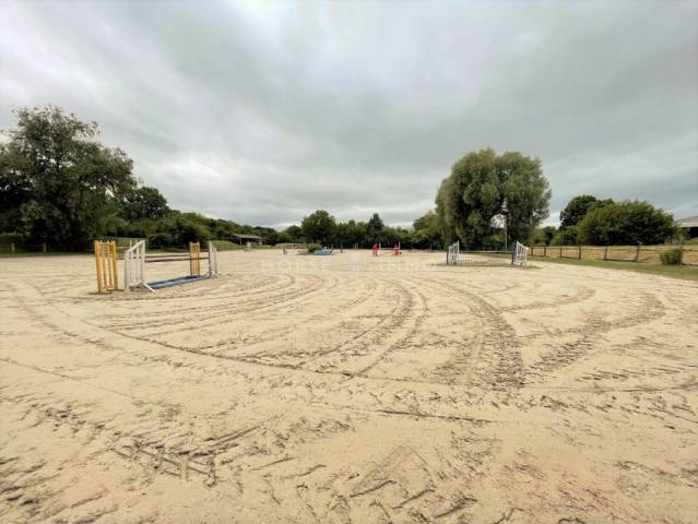 Stud farm  Seine-et-Marne