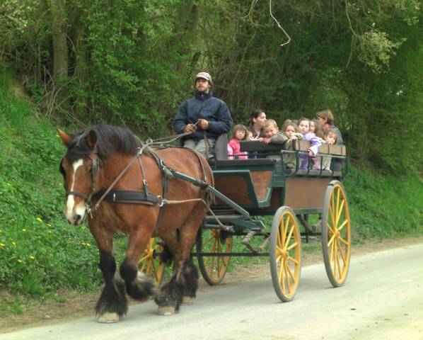 Carriage - Brake - Other brand - Tourisme  