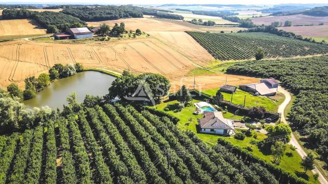 Grain farm  Tarn-et-Taronne