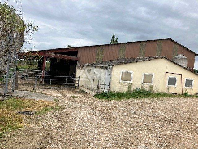 Dairy farm  Jura