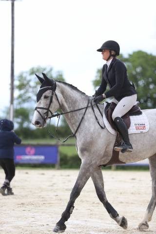 Broodmare Selle Français For sale 2018 Grey