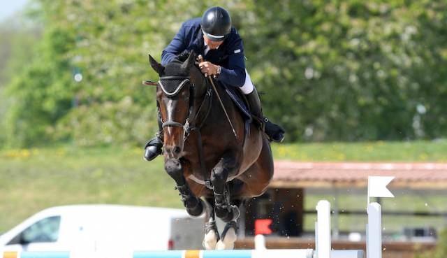 Nervoso - Selle Fran&ccedil;ais 2001 by LE TOT DE SEMILLY