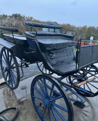 Carriage - Calèche - Other brand -  